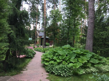 Портфолио14